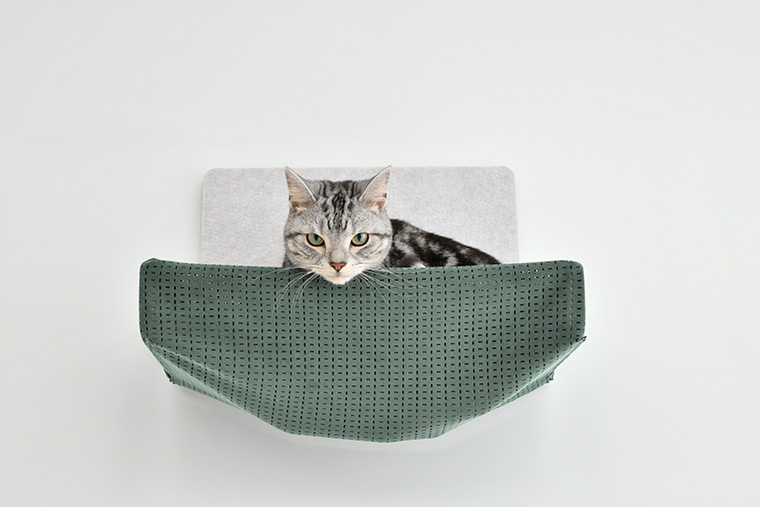 猫との暮らし リフォーム 工務店